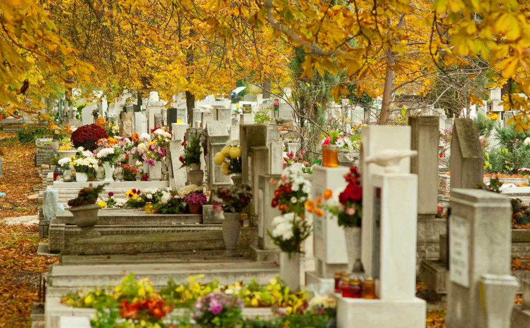 Ile kosztuje piwnica na cmentarzu w Oświęcimiu? Sprawdziliśmy cennik opłat