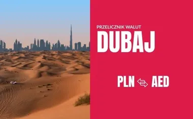 Obraz do artykułu: Dubaj i dirhamy Jak nie przepłacić w luksusowym mieście dzięki przelicznikowi walut