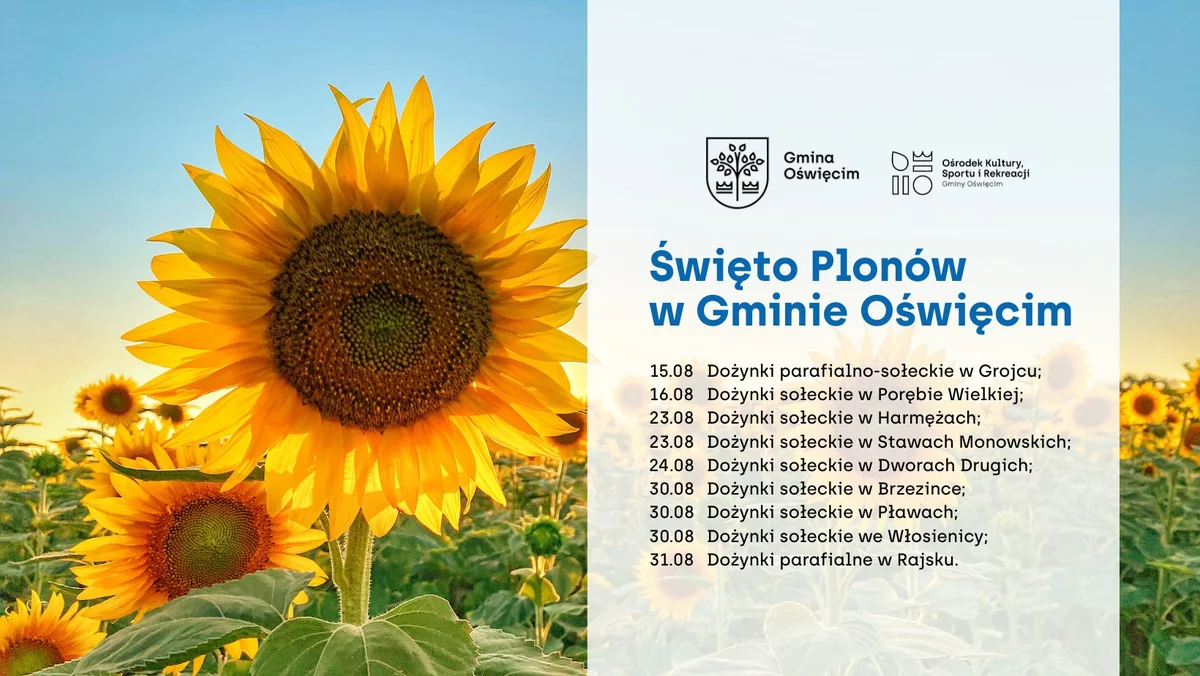 Grafika promocyjna wydarzenia Dożynki w gminie Oświęcim – terminy i miejsca świętowania plonów