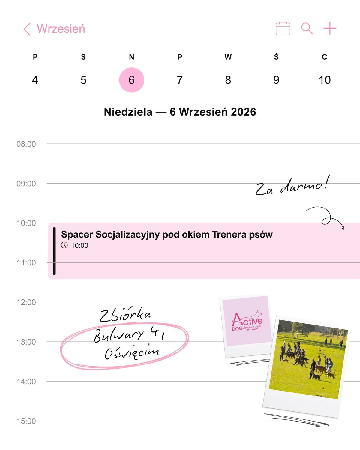 Grafika promocyjna wydarzenia Spacer Socjalizacyjny pod okiem Trenera psów – Oświęcim i trening