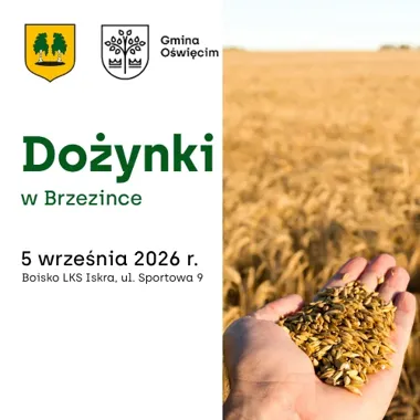 Grafika promocyjna wydarzenia Dożynki w Brzezince