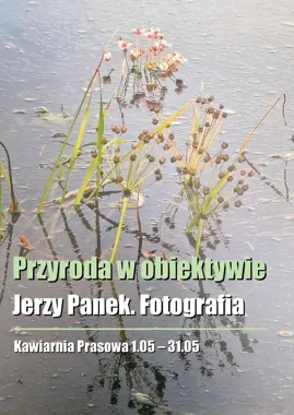 W Kawiarni Prasowej natura łapie oddech w kadrach Jerzego Panka