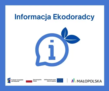 Surowsze kary za wypalanie traw – wyższe mandaty i nowe sankcje w praktyce