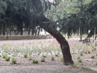 Zwornik w Oświęcimiu zmienia się w kieszonkowy park z mini ogrodem